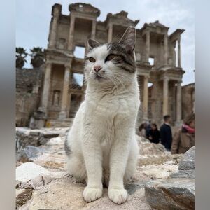 Check out all of my amazing finds!